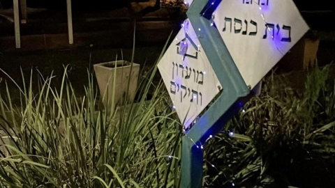 צובעים את הלילה בסגול שדי חמד.jpg