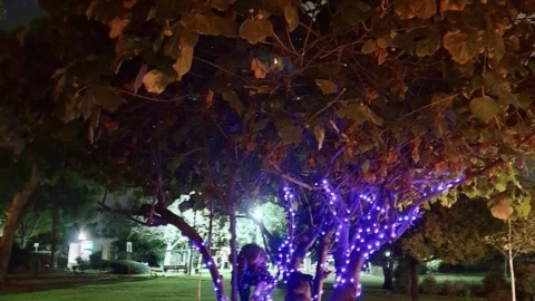 צובעים את הלילה בסגול חורשים.jpg