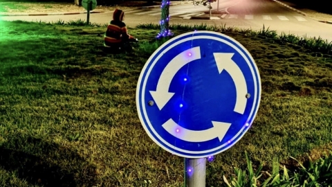 צובעים את הלילה בסגול קיבוץ נחשונים.jpg