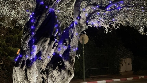 צובעים את הלילה בסגול במושב גן חיים.jpg