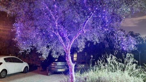 צובעים את הלילה בסגול במושב גני עם.jpg