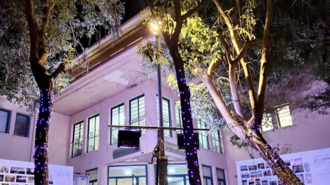 צובעים את הלילה בסגול בניין המועצה האזורית דרום השרון 2.jpg