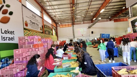 תלמידי דרום השרון בכנס הכשרה של שגרירי לקט ישראל למנהיגות ירוקה3.jpg