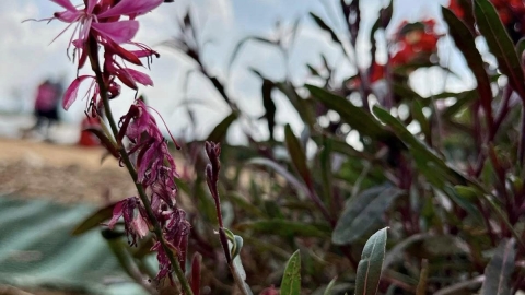 פסטיבל סדנאות DIY בחווה החקלאית (11).jpg