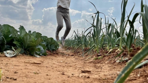 פסטיבל סדנאות DIY בחווה החקלאית (9).jpg